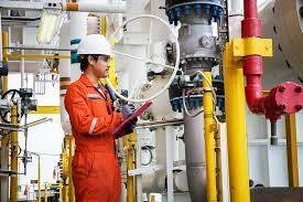 MEP engineering's scope By 2024